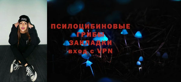 бошки Алексеевка