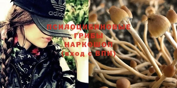 бошки Алексеевка